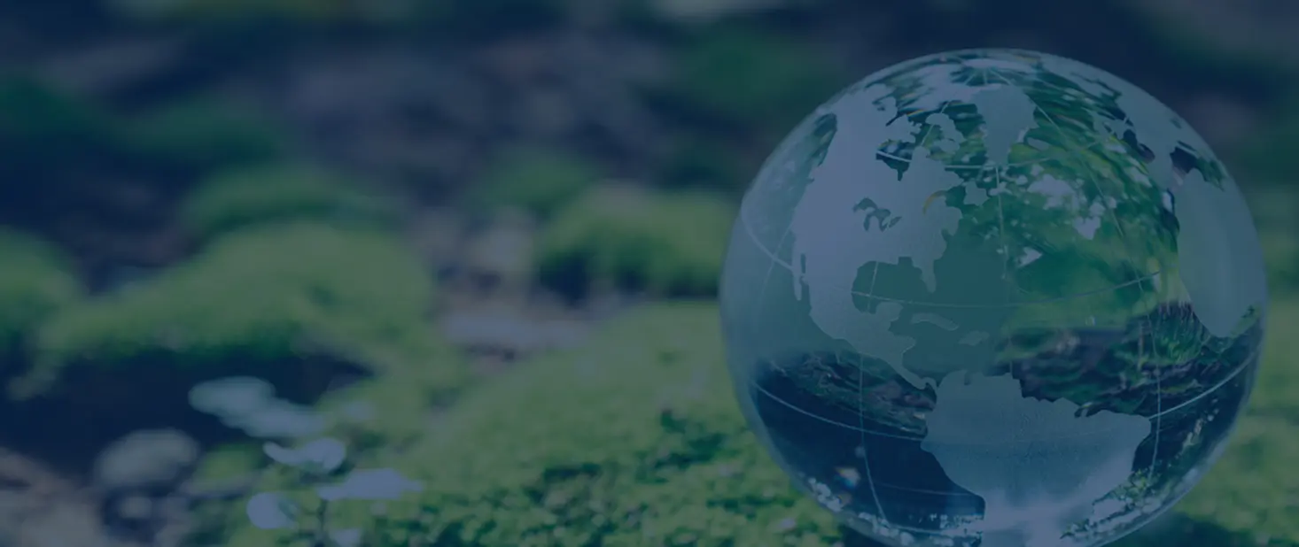 Image purchased from iStockphoto-1410391090 by MiCON Digital.